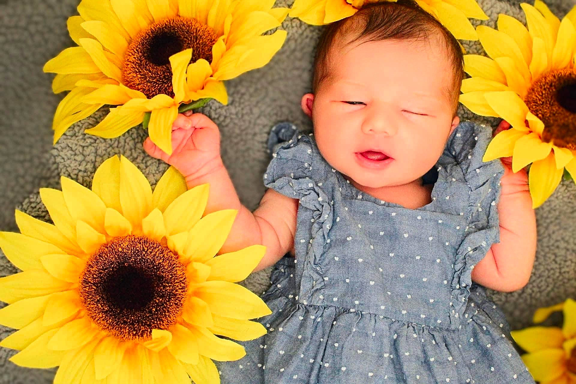 Annabella is registered to the contest to win money with this photo: baby, baby_toddler_clothing, beauty, botany, bouquet, facial_expression, flower, happy, iris, leaf, orange, organ, people_in_nature, person, petal, photograph, plant, sunflower, textile, toddler