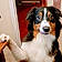 Lacie