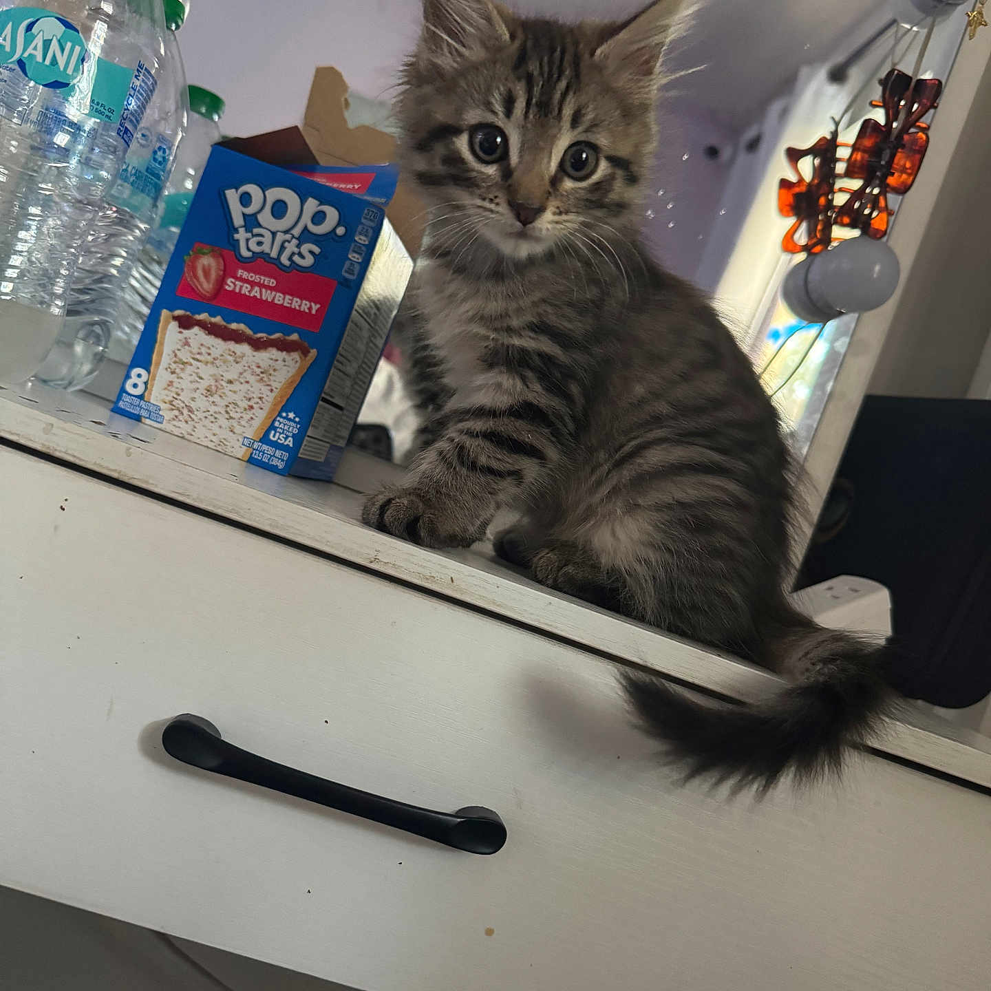 Nala