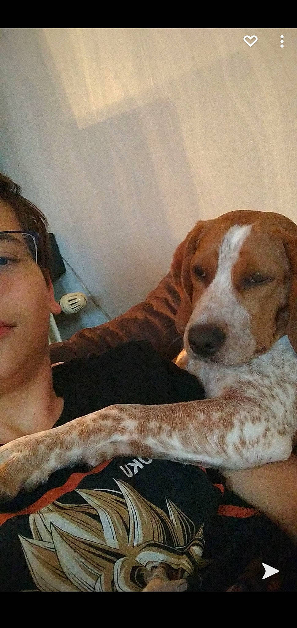 Rusty a rejoint le concours — aidez-le/la à gagner de superbes lots ! canidae, carnivore, comfort, companion_dog, dog, dog_breed, ear, earrings, eyelash, fashion_design, fawn, fur, hound, hunting_dog, jewellery, selfie, sitting, snout, sporting_group, working_animal