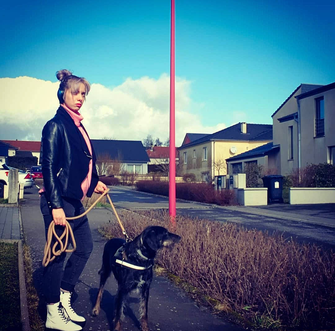 Athos participe au concours pour gagner de l'argent avec cette photo : asphalt, beauty, carnivore, city, cloud, companion_dog, dog, dog_breed, fashion_accessory, fawn, hat, leash, leg, metal, mountainous_landforms, road, sky, sporting_group, street_fashion, tints_and_shades