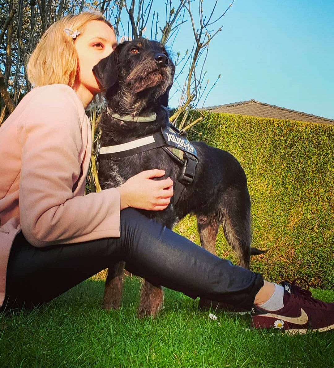 Athos a rejoint le concours — aidez-le/la à gagner de superbes lots ! carnivore, companion_dog, dog, dog_breed, dog_collar, eyewear, fashion_accessory, fawn, flash_photography, formal_wear, grass, grassland, happy, leash, leisure, people_in_nature, plant, sitting, sky, sporting_group