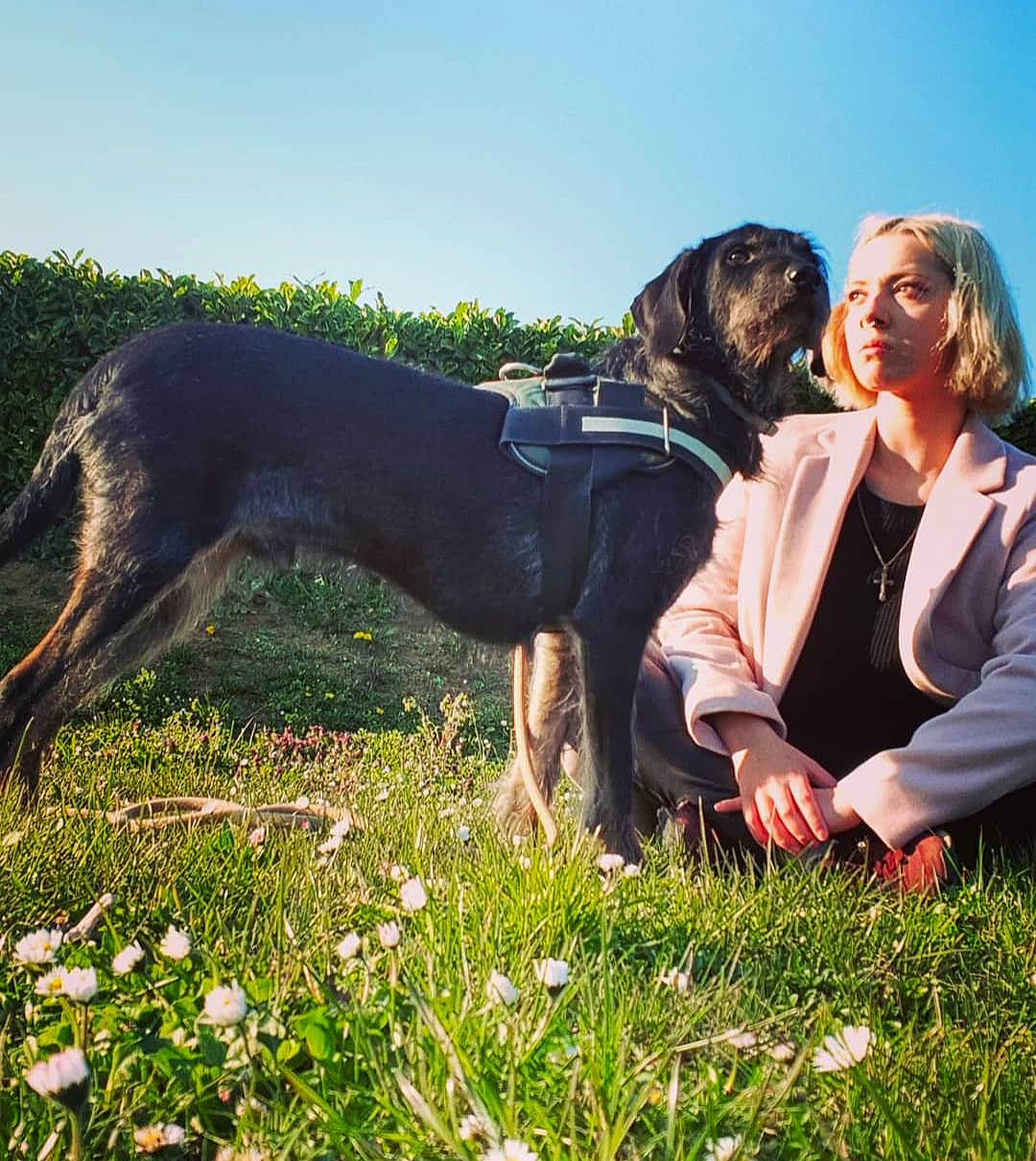 Athos a rejoint le concours — aidez-le/la à gagner de superbes lots ! carnivore, companion_dog, dog, dog_breed, fawn, flower, fun, gesture, grass, grassland, happy, leisure, pasture, people_in_nature, plant, recreation, sky, smile, sporting_group, working_animal