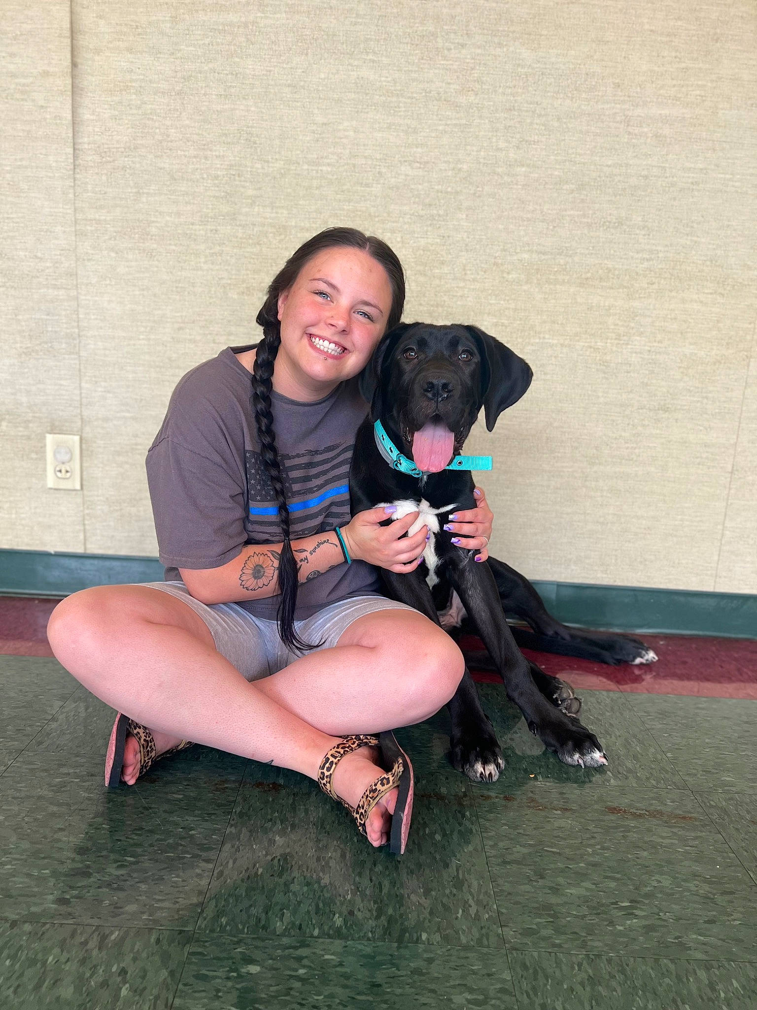 Boss is registered to the contest to win money with this photo: black_hair, canidae, carnivore, companion_dog, dog, dog_breed, fawn, foot, fun, happy, human_leg, knee, lap, leisure, shorts, sitting, smile, sporting_group, t_shirt, thigh