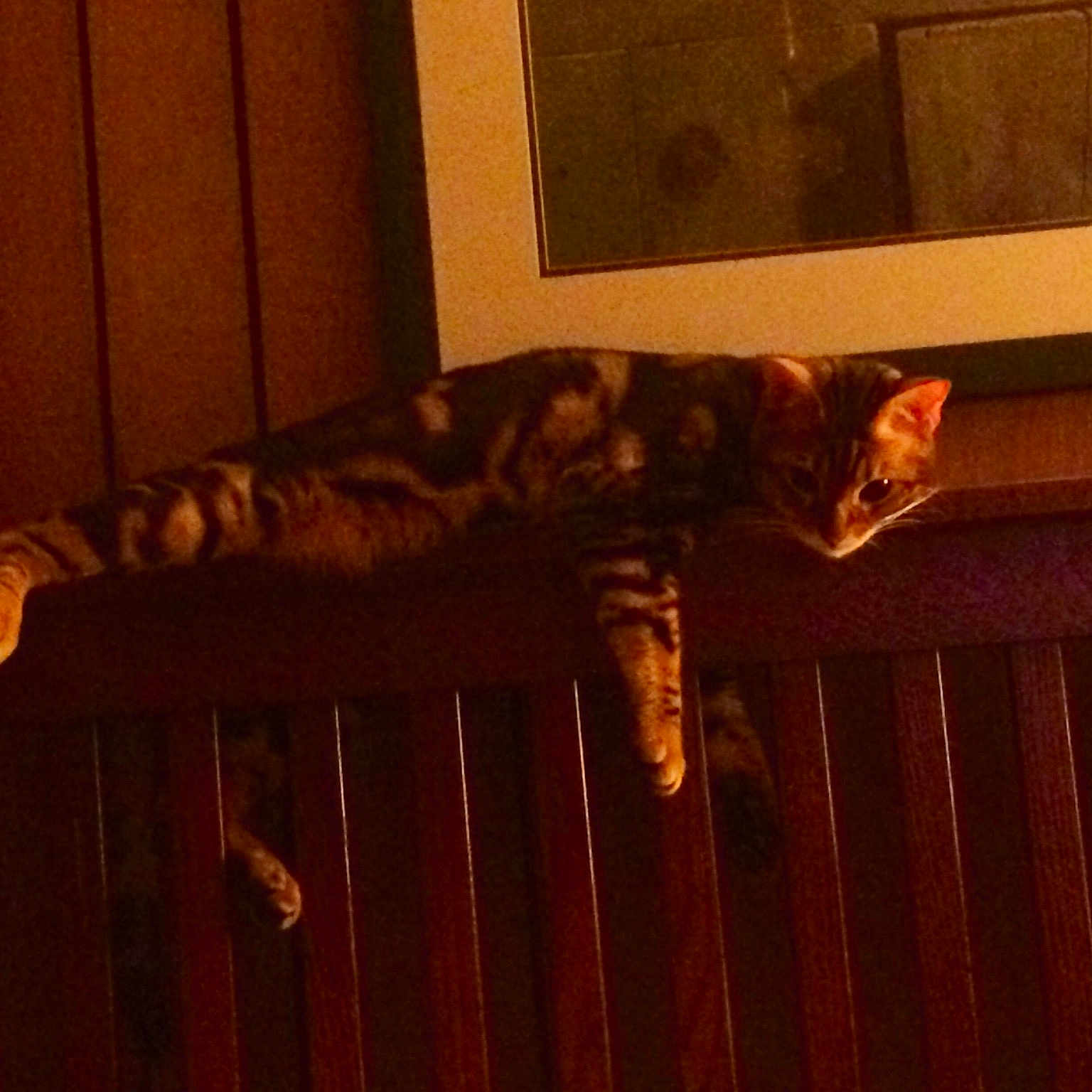 Mewford