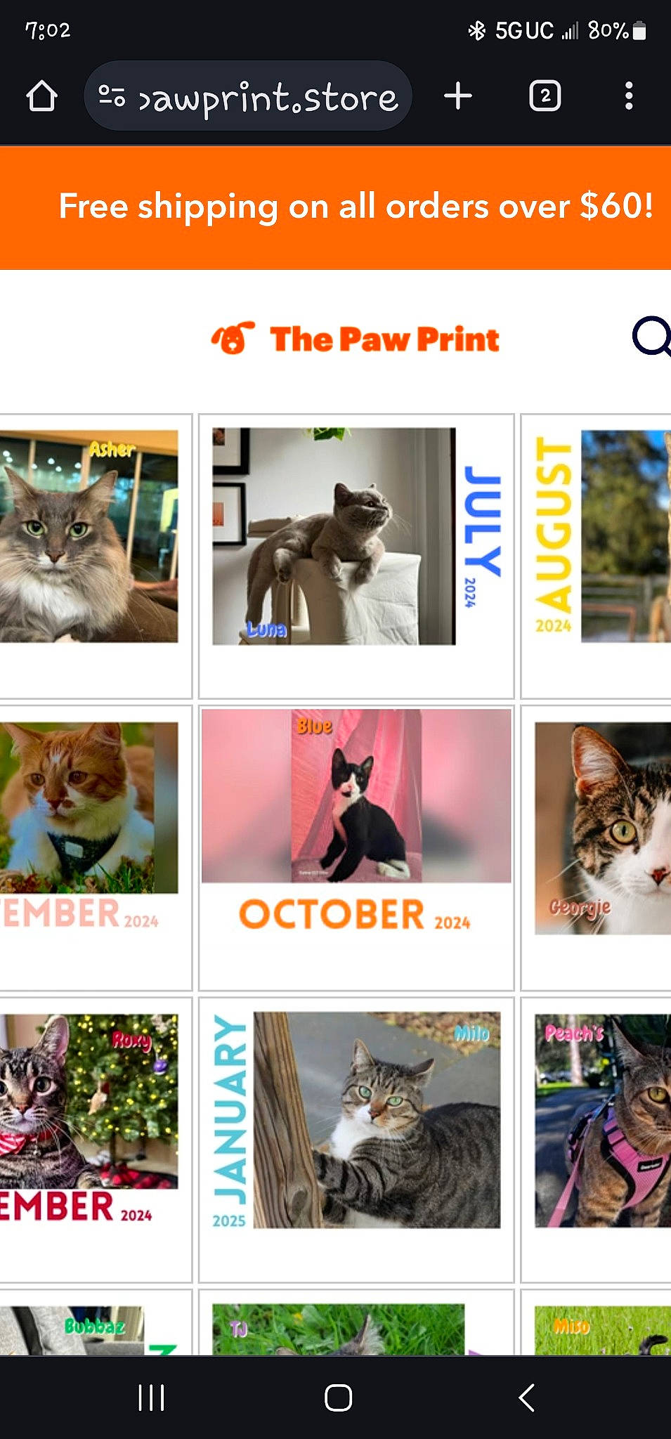 Blue joined the competition — help win amazing prizes! adaptation, art, carnivore, cat, collage, door, felidae, font, fur, mammal, organism, photo_caption, photograph, small_to_medium_sized_cats, snapshot, vertebrate, whiskers, white, wildlife, window