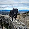 adventure, animal, black_dog, cloudy_sky, dog, exploration, footwear, hiking_boot, landscape, mountain, nature, outdoor, pet, resting, rock, scenic, terrain, trail, travel, walking