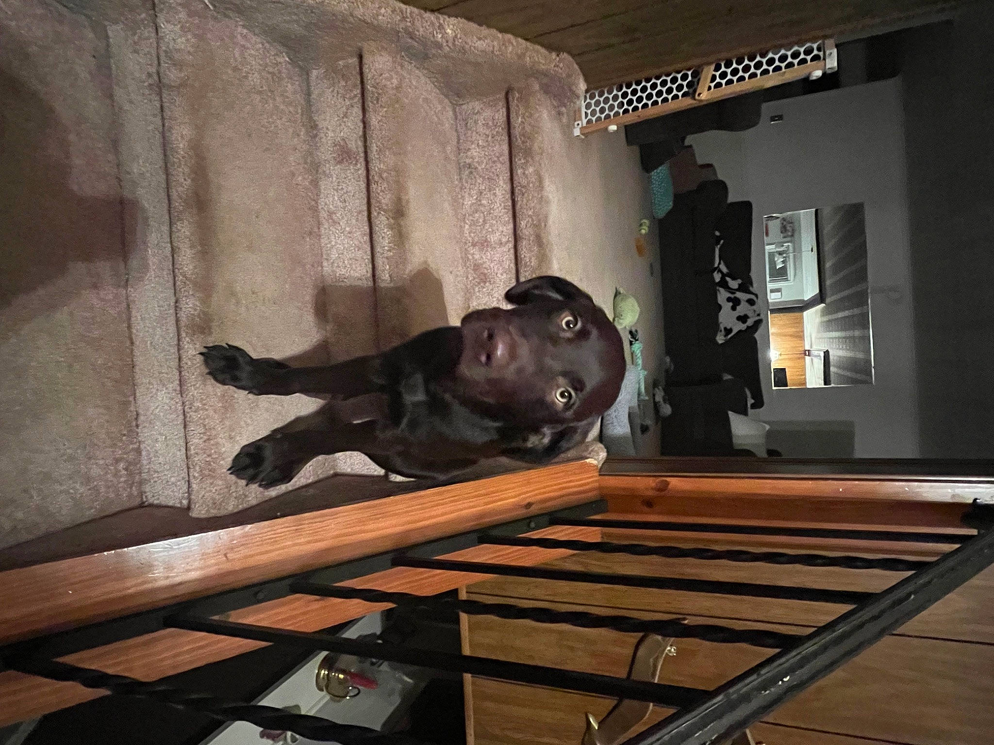 Charlie is registered to the contest to win money with this photo: art, bronze, bronze_sculpture, darkness, flooring, hardwood, indoor_games_and_sports, metal, personal_protective_equipment, recreation, room, sculpture, shadow, sporting_group, statue, symmetry, tints_and_shades, tourist_attraction, visual_arts, wood