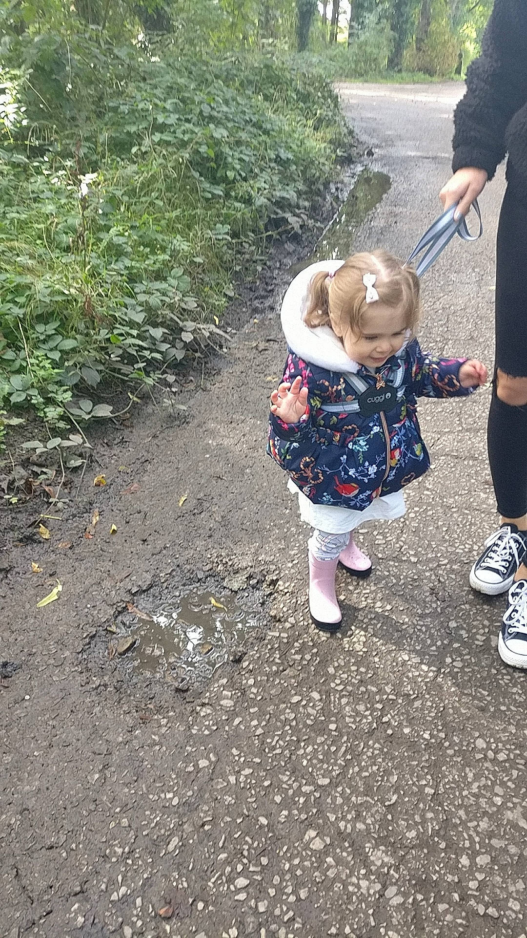 Beaux joined the competition — help win amazing prizes! asphalt, child, joy, leaf, person, plant, play, soil, toddler, tree, vacation, water