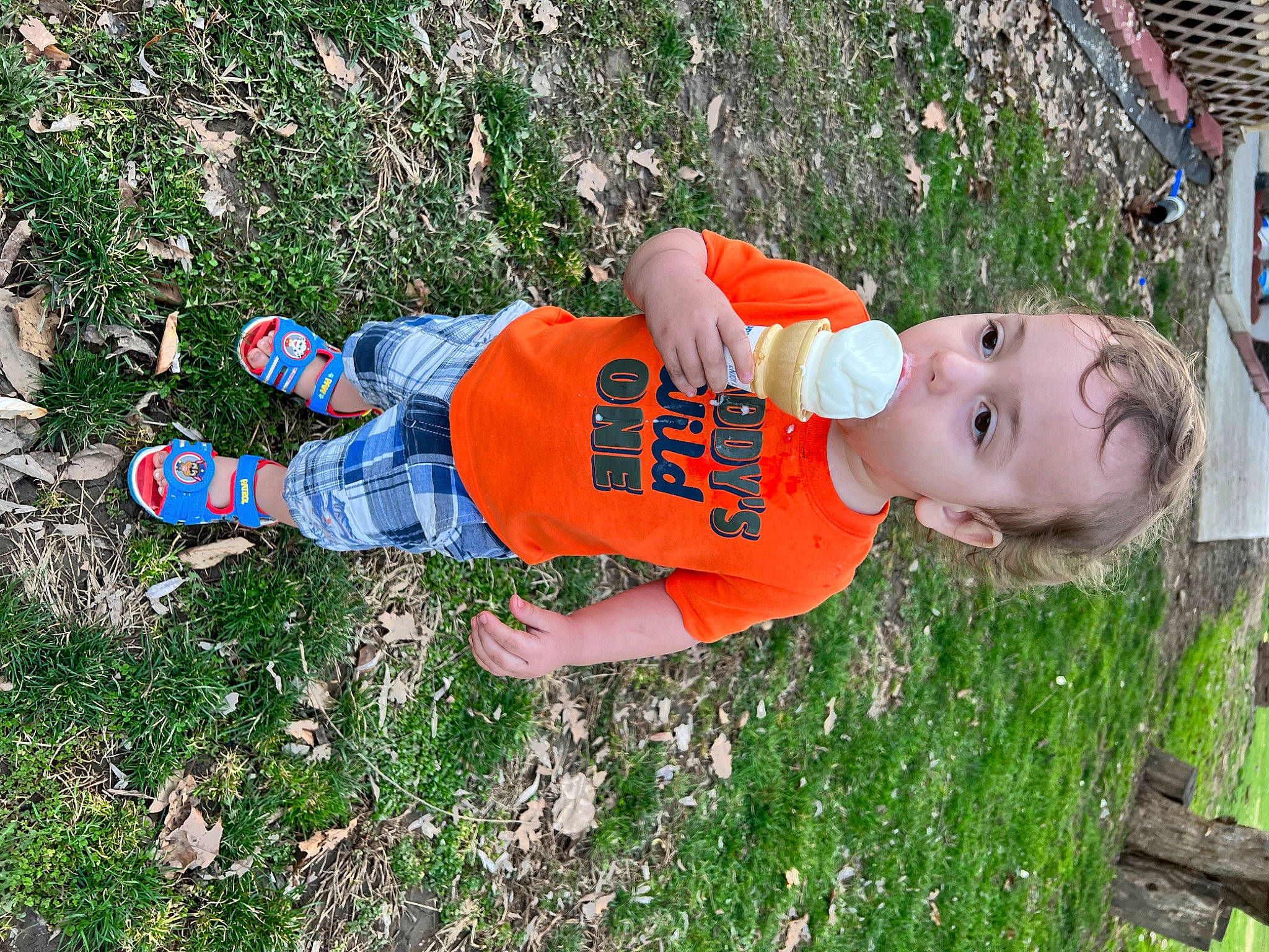 Colton joined the competition — help win amazing prizes! baby, baby_toddler_clothing, child, fun, garden, grass, grass_family, grassland, happy, hat, lawn, leaf, leisure, people_in_nature, person, plant, smile, toddler, tree, walking_shoe