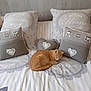 cat, orange_cat, bed, pillows, bedding, heart_pattern, sleeping, cozy, indoor, home, decor, fabric, resting, cute, pet, feline, comfort, soft, striped, gray