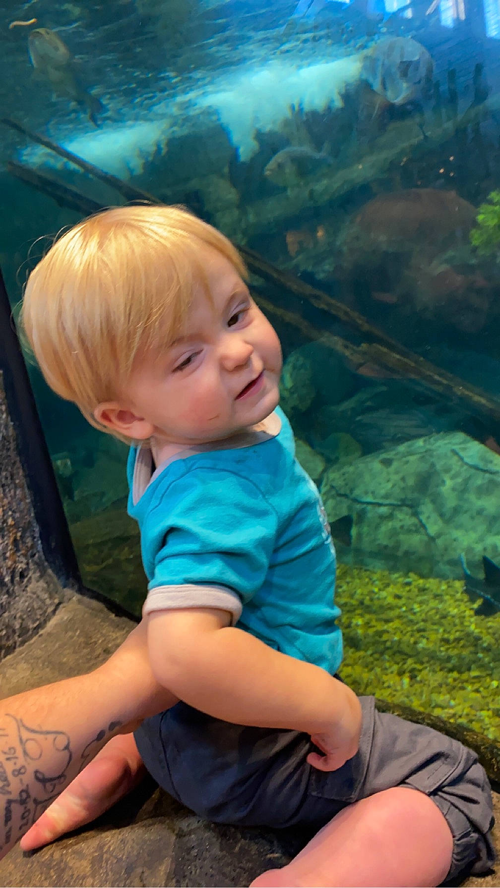 Bryson is registered to the contest to win money with this photo: azure, child, cool, eye, face, fun, grass, happy, head, human_body, leisure, mammal, people_in_nature, person, plant, skin, smile, summer, thigh, toddler