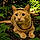 Simba