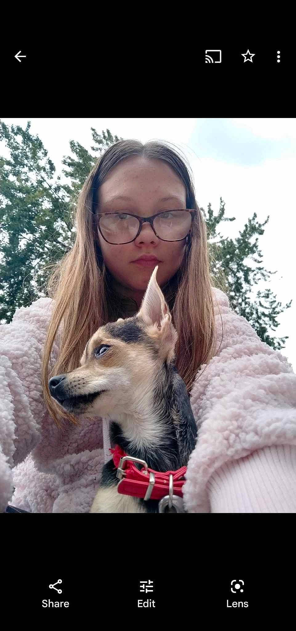 Destiny joined the competition — help win amazing prizes! beauty, carnivore, cloud, companion_dog, dog, dog_breed, dog_collar, ear, eyewear, fawn, gesture, glasses, hair, happy, head, person, sky, snout, tree, vision_care