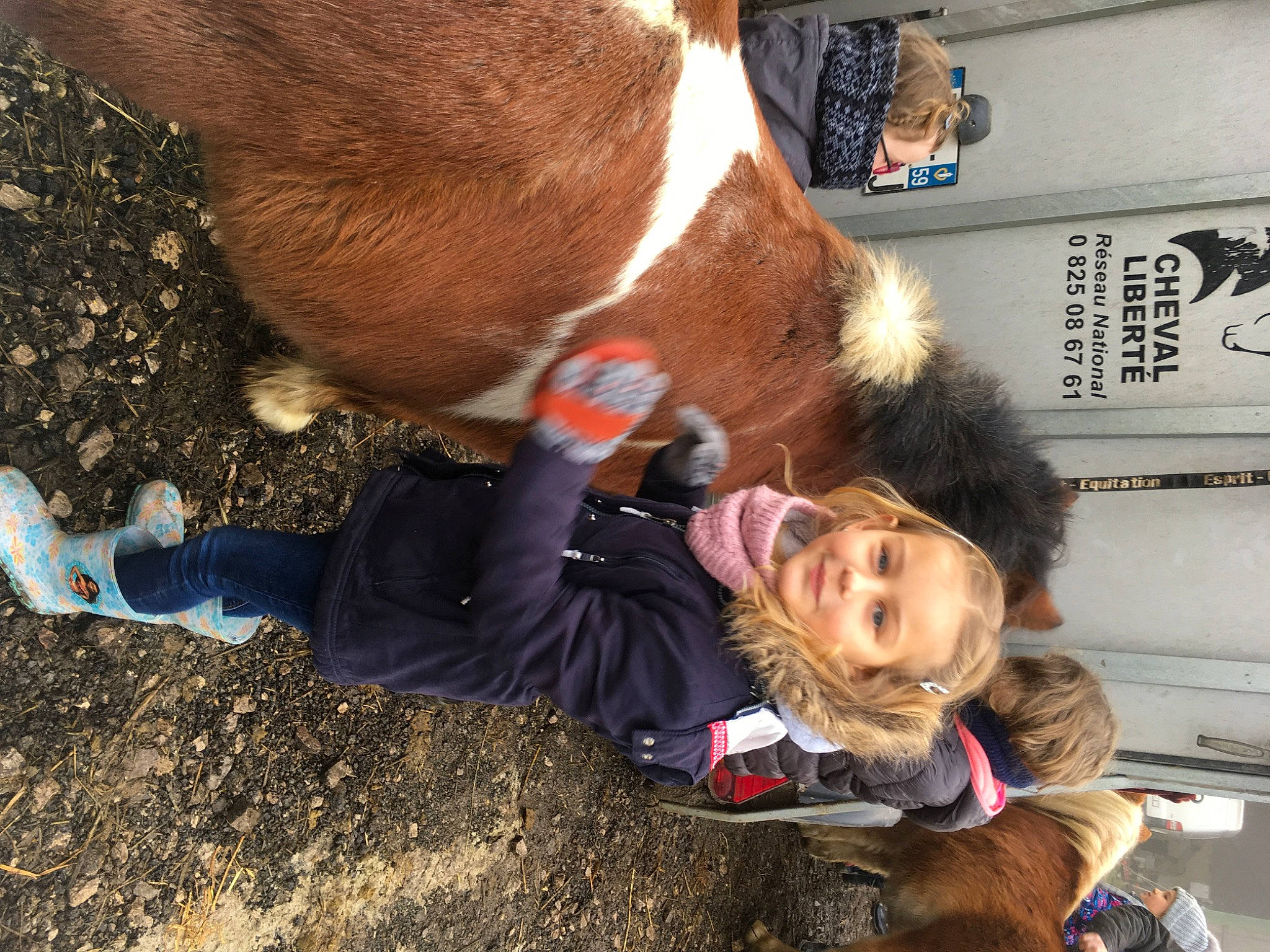 Lindsay a rejoint le concours — aidez-le/la à gagner de superbes lots ! bovine, canidae, dairy_cow, ear, fawn, fur, horse, joy, person, pony