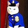 Volta participe au concours pour gagner de l'argent avec cette photo : animal, badge, blue_uniform, cat, costume, costumed_pet, cute, domestic_cat, ears, eyes, feline, indoor, law_enforcement, pet, police_hat, portrait, serious, sitting, whiskers, white_cat