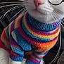 animal, cat, closeup, colorful_clothing, cozy, cute, domestic_animal, fashion, feline, glasses, indoor, knitted, pet, portrait, sitting, striped_sweater, sweater, whiskers, white_cat, yellow_eyes