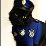 Turbo participe au concours pour gagner de l'argent avec cette photo : animal, animal_portrait, badge, black_cat, cat, closeup, costume, cute, domestic_cat, dress_up, feline, funny, green_eyes, hat, indoor, pet, pet_costume, police_uniform, portrait, whiskers