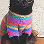 Turbo a rejoint le concours — aidez-le/la à gagner de superbes lots ! accessory, black_cat, cat, colorful, cozy, cute, fashion, feline, fluffy, funny, glasses, indoor, knit_sweater, pet, portrait, rainbow_sweater, round_glasses, sitting, whiskers, yellow_eyes