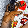 animal, black, blanket, brown, comfort, cozy, cute, dog, fur, indoors, pattern, paw, pet, puppy, reese, relax, resting, sleeping, snuggle, soft