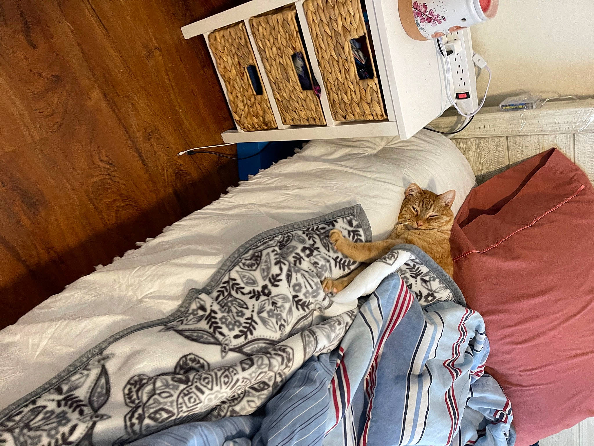 Ottis is registered to the contest to win money with this photo: art, bag, bed_sheet, bedding, bedroom, blanket, comfort, fashion_design, flooring, font, fur, hardwood, interior_design, linens, pattern, room, sleeve, textile, throw_pillow, wood