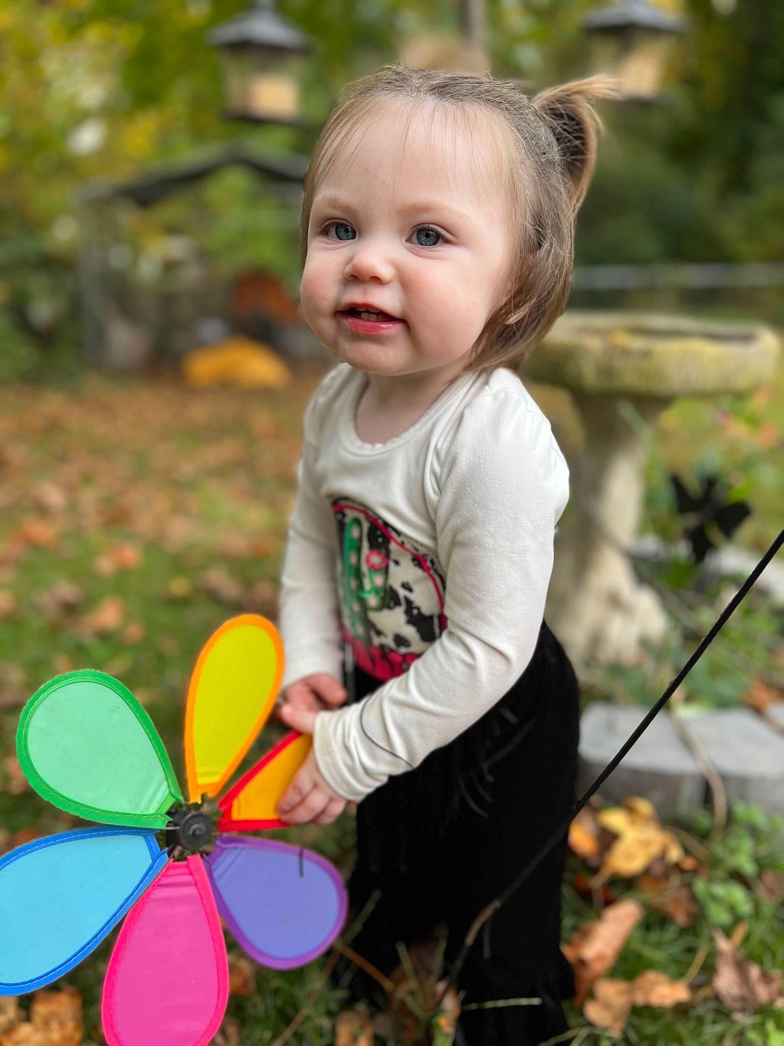 Brinley is registered to the contest to win money with this photo: automotive_wheel_system, baby, baby_toddler_clothing, botany, child, fun, grass, happy, leaf, leisure, people_in_nature, person, petal, pinwheel, plant, sitting, spring, summer, tints_and_shades, toddler