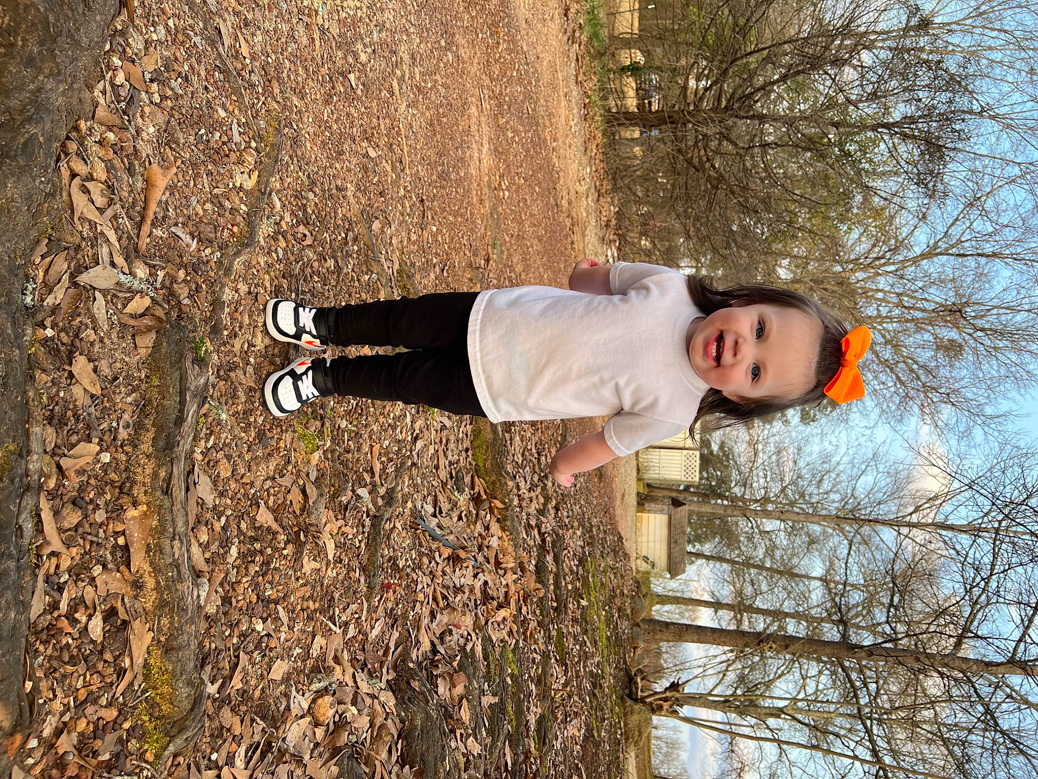 Brinley is registered to the contest to win money with this photo: branch, fun, grass, happy, people_in_nature, person, plant, shadow, sky, smile, soil, tints_and_shades, toddler, tree, trunk, twig, walking_shoe, winter, wood, woody_plant