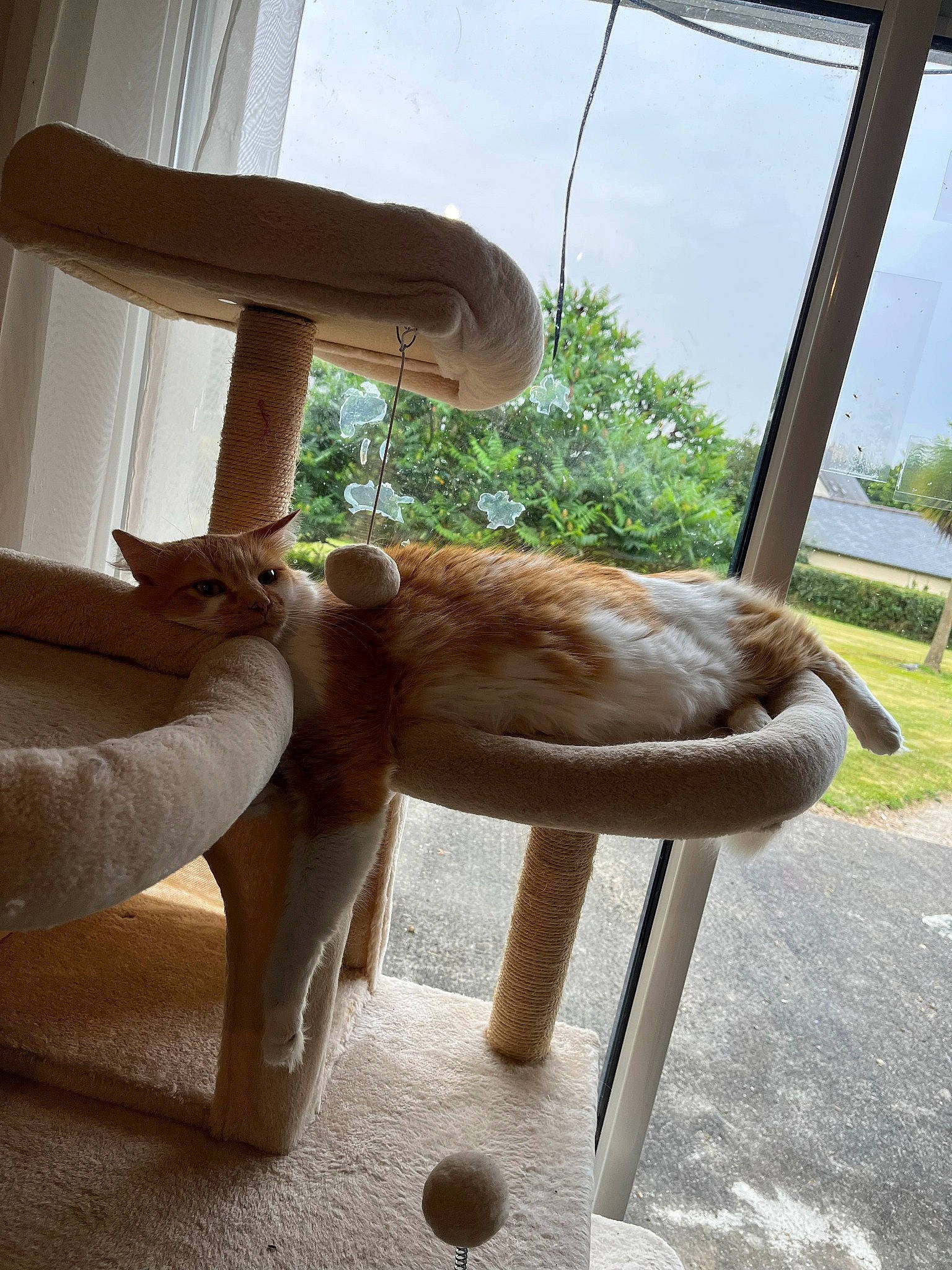 Pika a rejoint le concours — aidez-le/la à gagner de superbes lots ! elephant, elephants_and_mammoths, fawn, hardwood, human_leg, indian_elephant, mammal, plant, sculpture, sky, snout, tail, terrestrial_animal, tree, trunk, vertebrate, wildlife, wood, wood_stain, working_animal