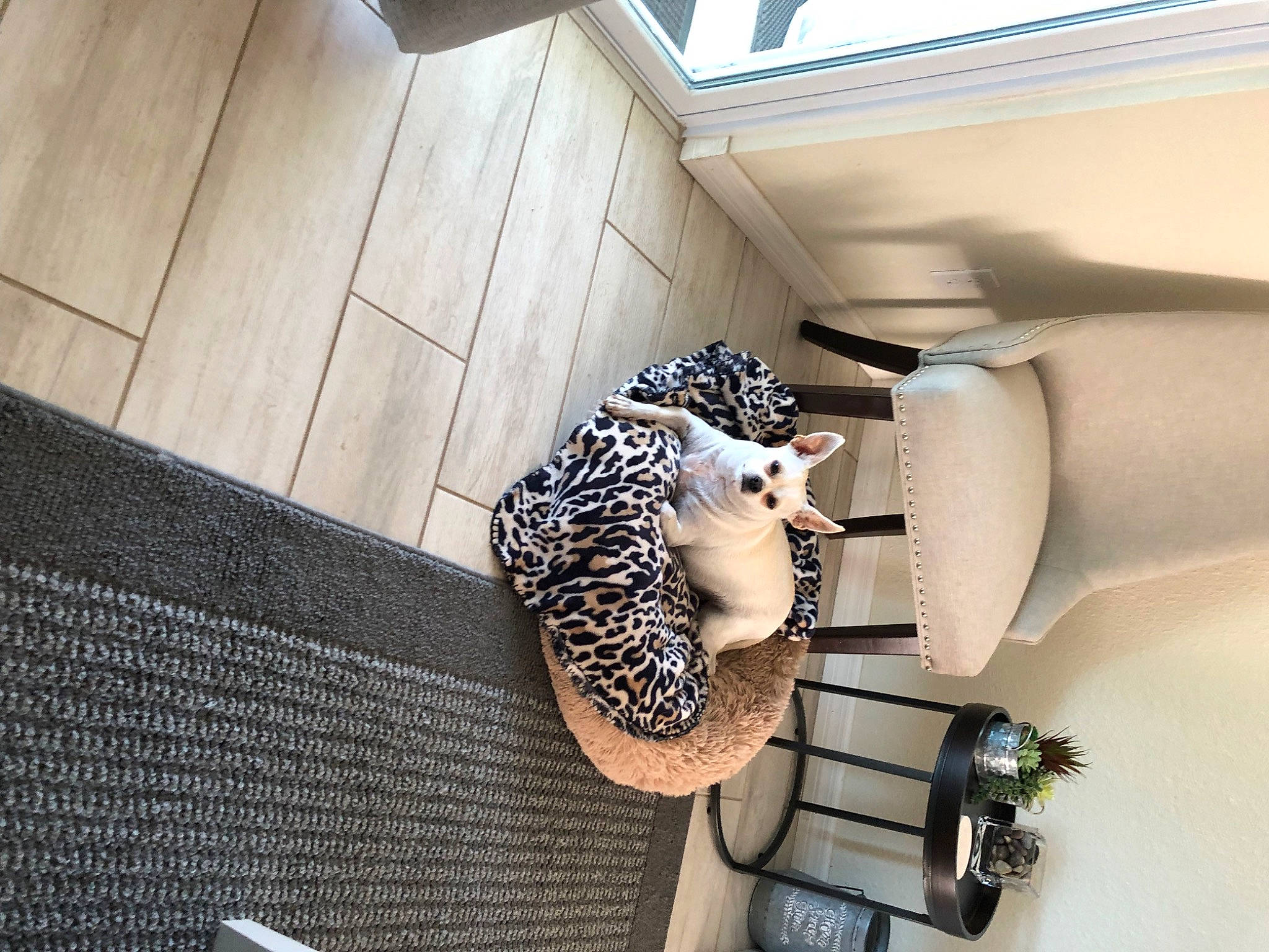 Phoebe joined the competition — help win amazing prizes! automotive_design, ceiling, comfort, eyewear, fashion_accessory, fashion_design, flooring, font, hardwood, metal, pattern, room, sunglasses, thigh, visual_arts, waist, window, wood