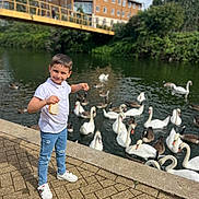 Andrei joined the competition — help win amazing prizes! animal, boy, bridge, buildings, casual_clothing, child, daylight, ducks, feeding, jeans, lake, nature, outdoor, pavement, recreation, shoes, smiling, swans, water, white_shirt