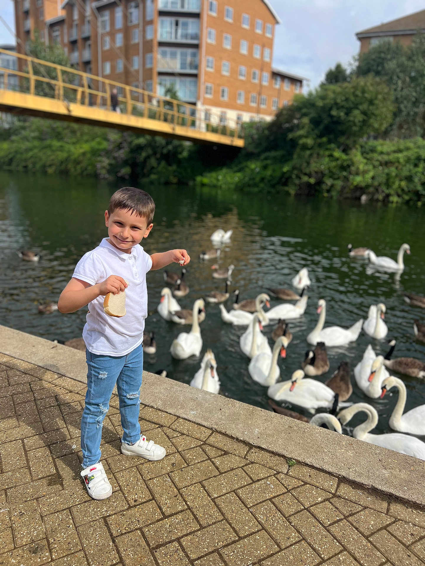 Andrei joined the competition — help win amazing prizes! animal, boy, bridge, buildings, casual_clothing, child, daylight, ducks, feeding, jeans, lake, nature, outdoor, pavement, recreation, shoes, smiling, swans, water, white_shirt