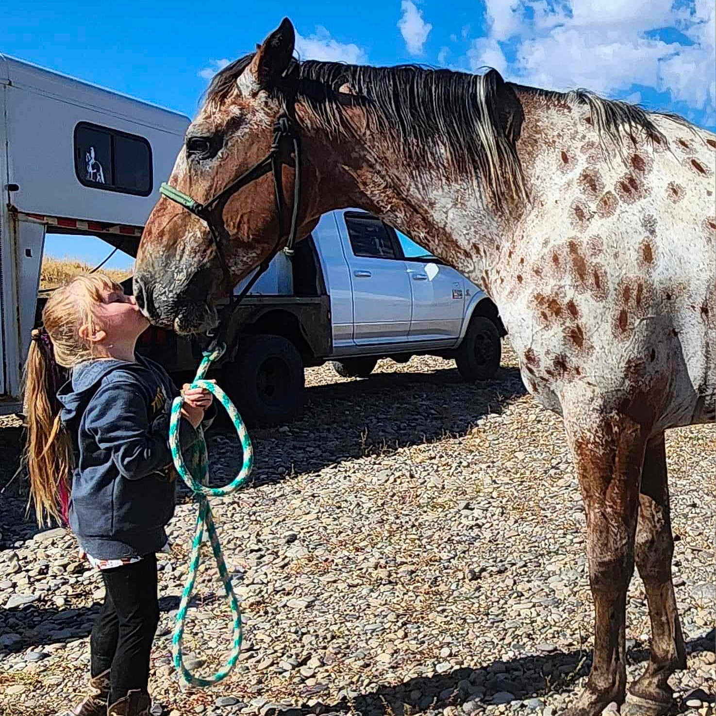 Riley joined the competition — help win amazing prizes! animal, boy, child, colthorse, doctor, halter, horse, horsebackriding, leisureactivities, male, nature, outdoors, person, stallion, tire, veterinarian, wilderness