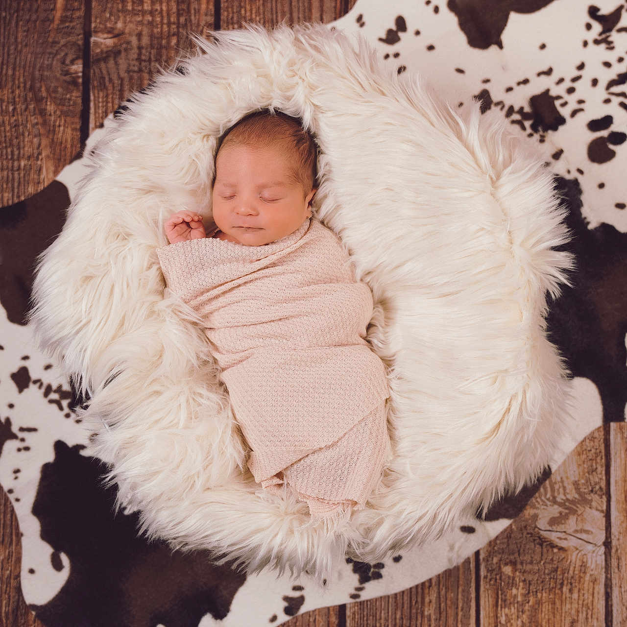 Westyn joined the competition — help win amazing prizes! animal, baby, bed, blanket, canine, cradle, crib, cushion, face, furniture, hardwood, head, homedecor, infantbed, newborn, person, photography, portrait, sleeping, wood