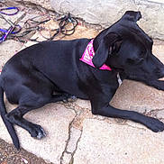 Poukette participe au concours pour gagner de l'argent avec cette photo :