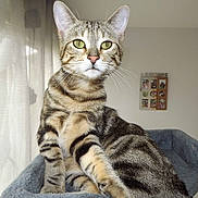 Dragibus participe au concours pour gagner de l'argent avec cette photo :