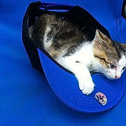 Snoopy a rejoint le concours — aidez-le/la à gagner de superbes lots !