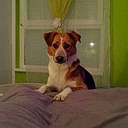 Happy participe au concours pour gagner de l'argent avec cette photo :