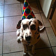 Roxanne a rejoint le concours — aidez-le/la à gagner de superbes lots !