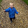 child, toddler, blue_jacket, stick, forest_path, leaves, walking, happy, outdoor, nature, smiling, person, fall, ground, exploring, small_child, casual_clothing, daylight, adventure, playful