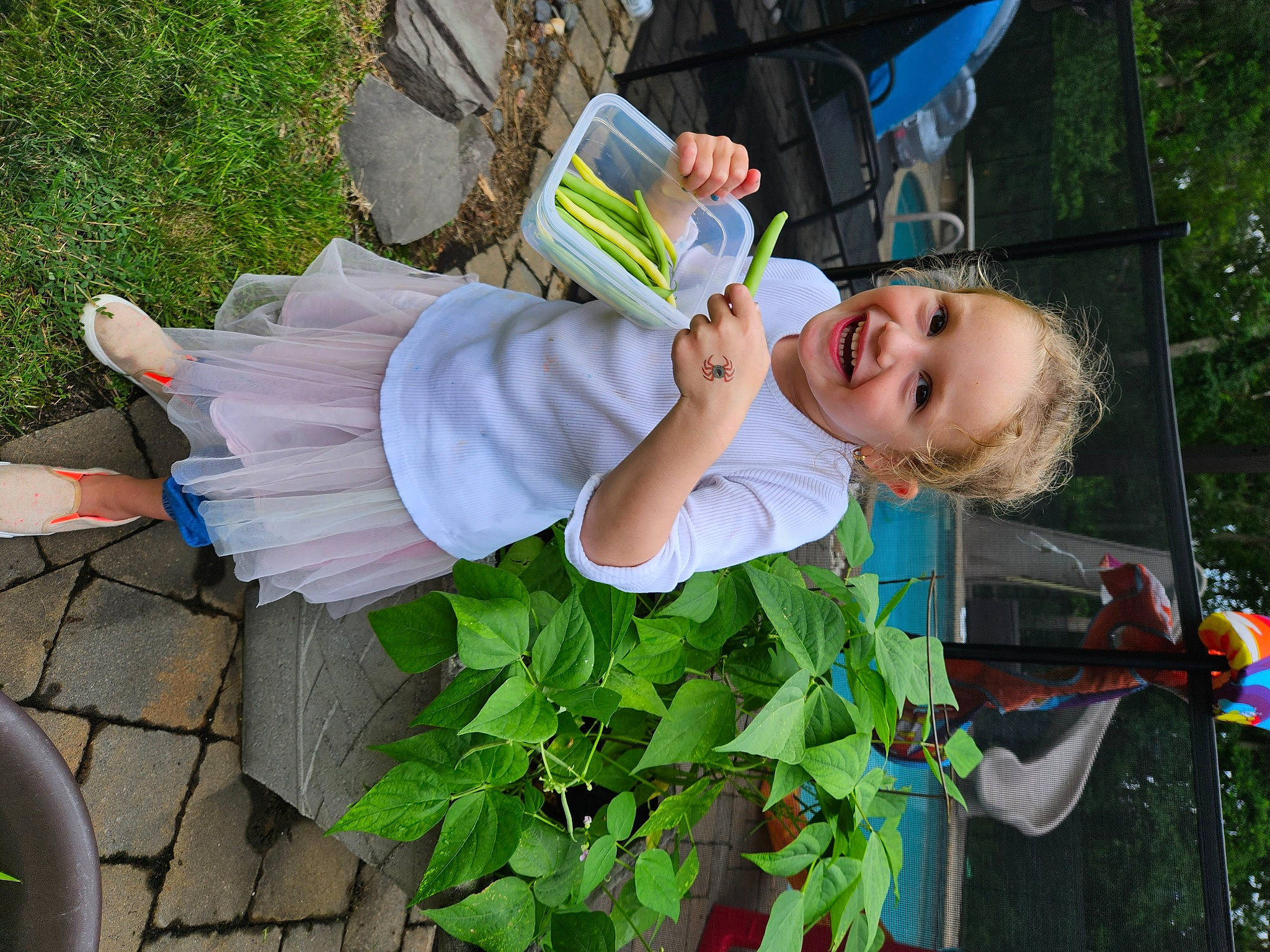 Madelyn joined the competition — help win amazing prizes! baby_toddler_clothing, child, face, fun, grass, green, happy, hat, human_leg, joy, leisure, people_in_nature, person, plant, recreation, shorts, smile, sneakers, spring, sunglasses