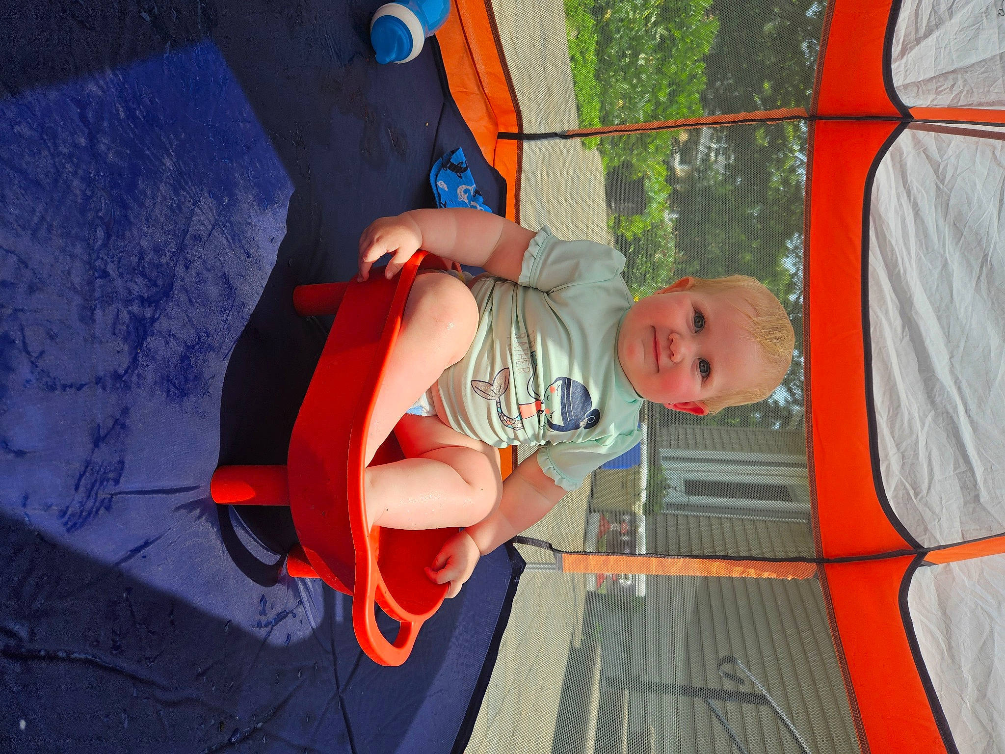 Maisie joined the competition — help win amazing prizes! adventure, animation, child, fictional_character, fun, hat, human_leg, joy, leisure, orange, person, plant, recreation, shorts, smile, thigh, tire, tree, vacation, vehicle_door