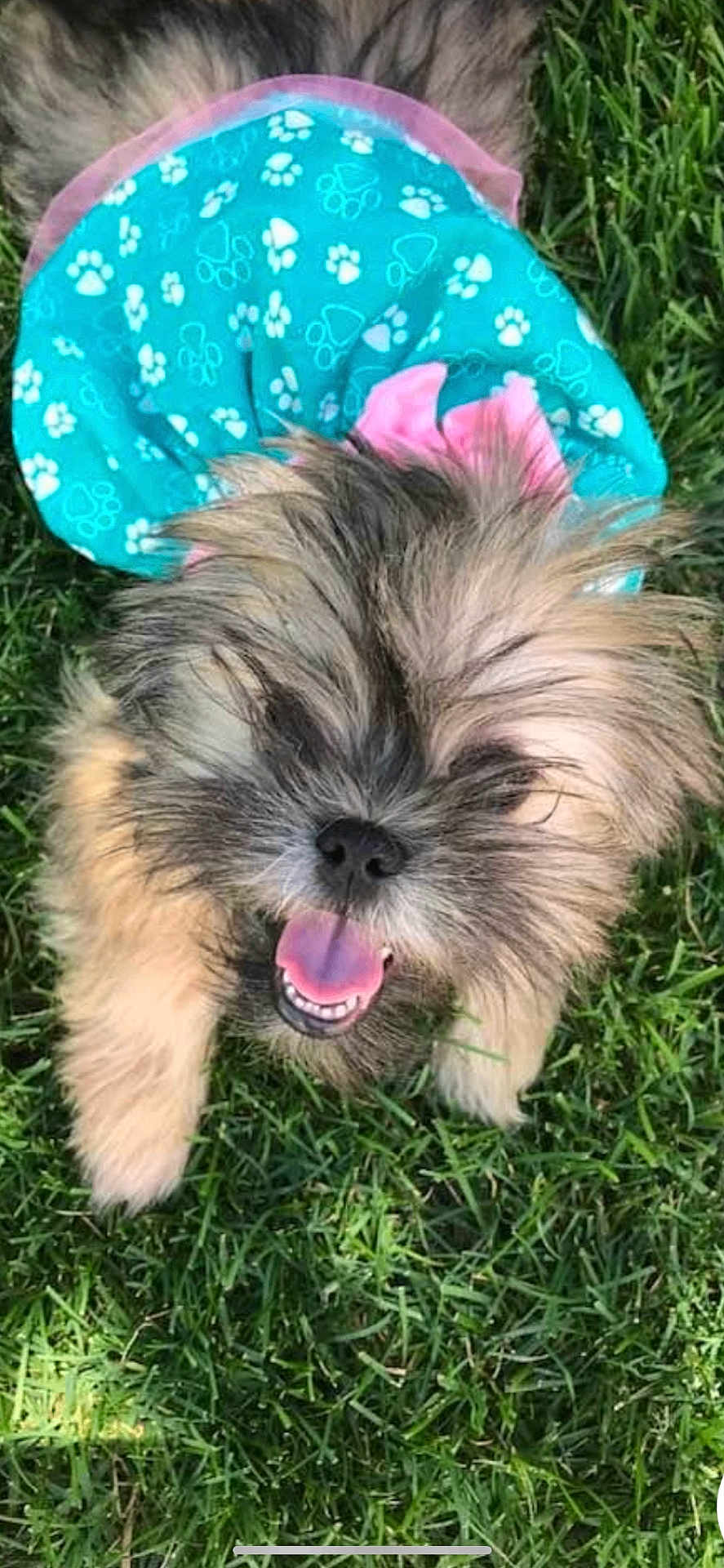 Lulu