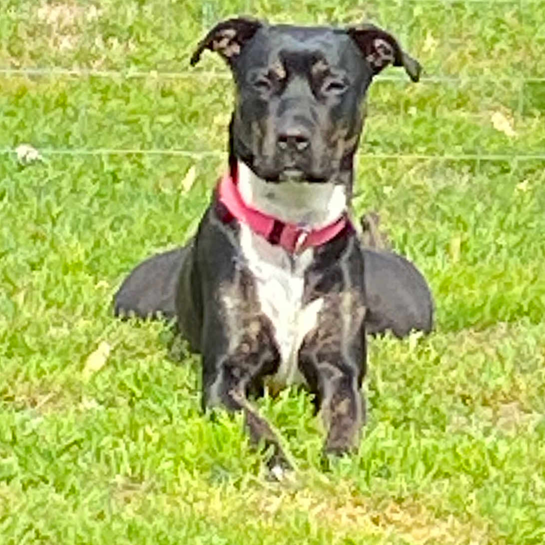 Marley