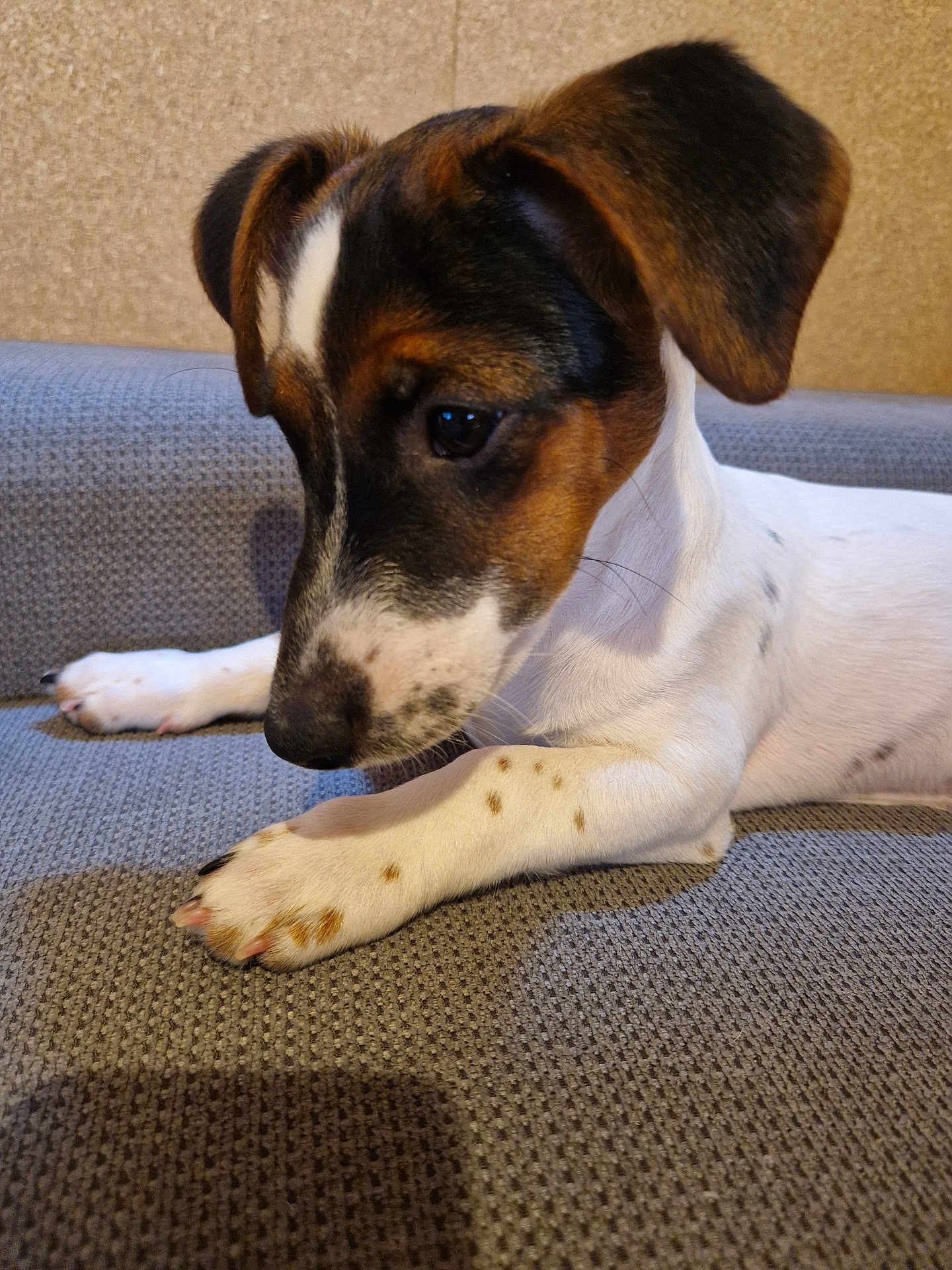 Aiko