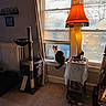 cat, window, lamp, leg_lamp, cat_tree, curtains, blinds, carpet, table, indoor, home, furniture, animal, pet, cozy, light, shade, decor, sitting, quiet