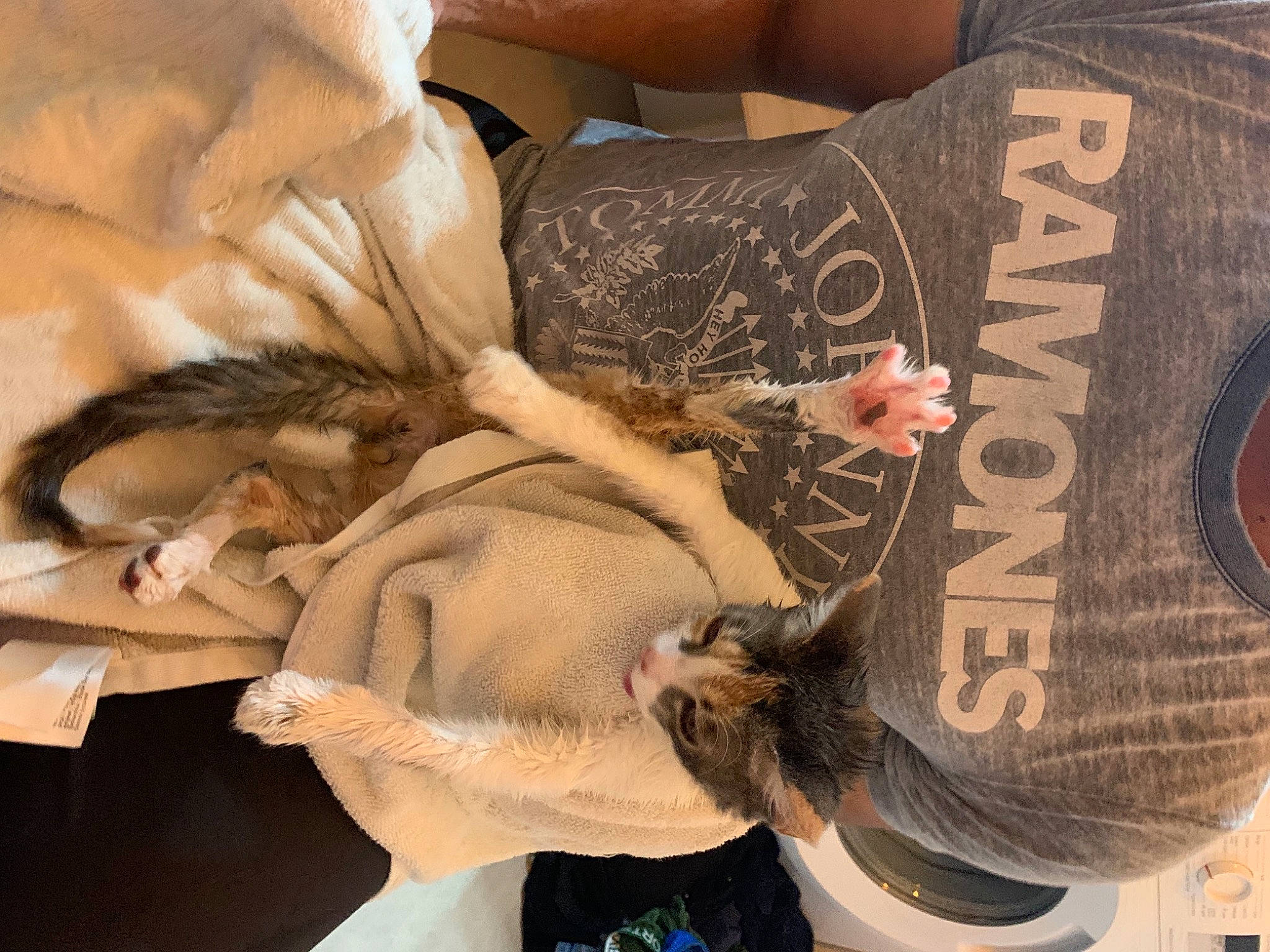 Plume a rejoint le concours — aidez-le/la à gagner de superbes lots ! comfort, elbow, fashion_accessory, flesh, font, fur, linens, paper, pattern, photography, sleeve, textile, vintage_clothing, visual_arts, white, wine, wood, wrist