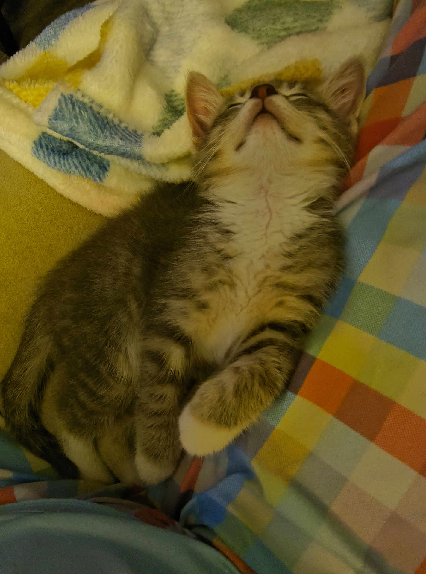Fluffy