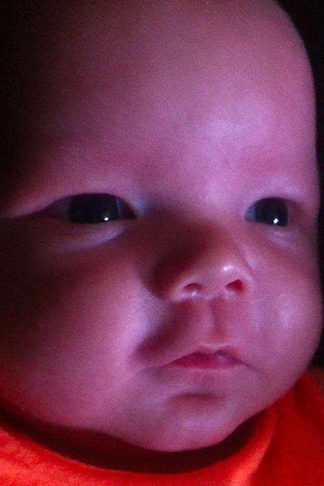 Xander