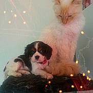 Lina a rejoint le concours — aidez-le/la à gagner de superbes lots !