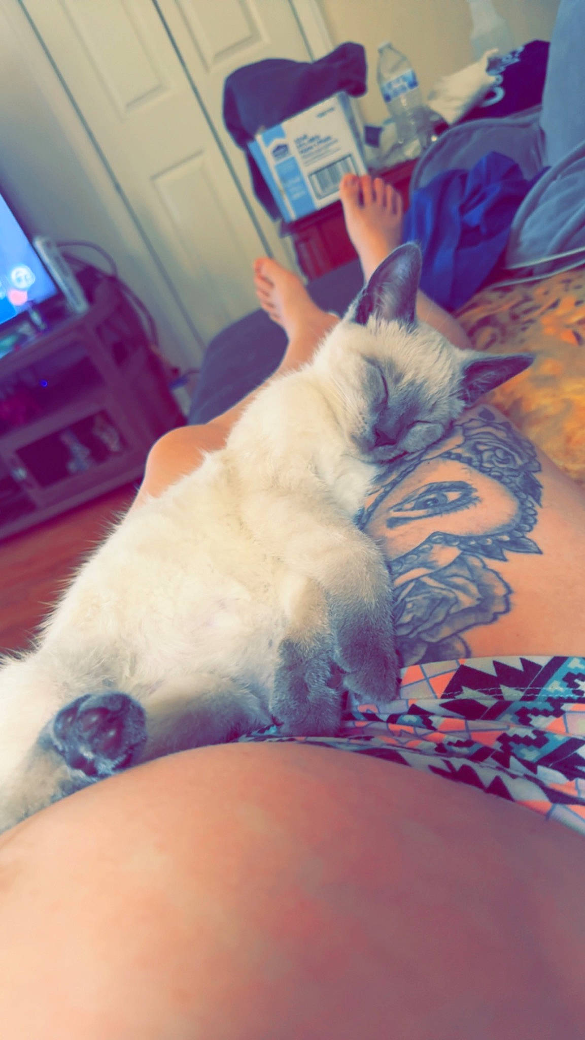 Lil Man is registered to the contest to win money with this photo: abdomen, carnivore, cat, chest, comfort, companion_dog, elbow, fawn, felidae, finger, human_leg, knee, mammal, small_to_medium_sized_cats, tattoo, tattoo_artist, thigh, trunk, whiskers, wrist
